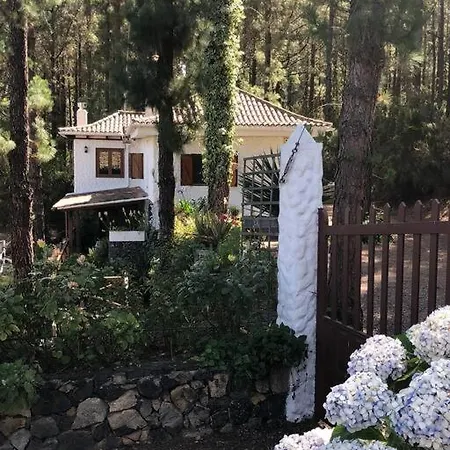 Dom wakacyjny Floral Garden House Icod De Los Vinos