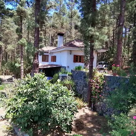Floral Garden House Dom wakacyjny
