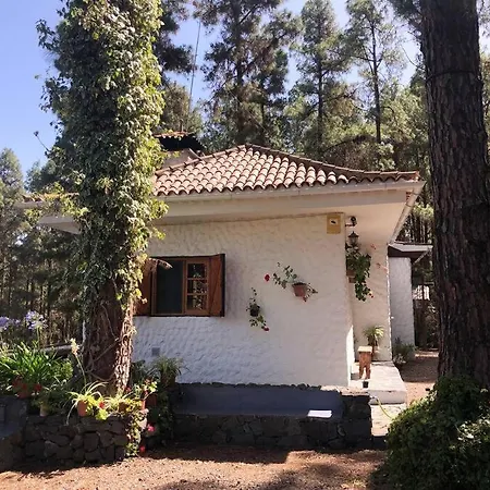 Dom wakacyjny Floral Garden House