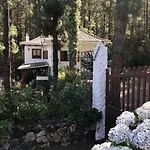 Semesterbostad Floral Garden House Icod De Los Vinos