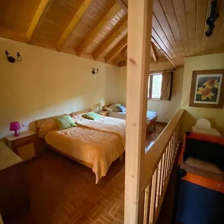 Floral Garden House Дом отдыха
