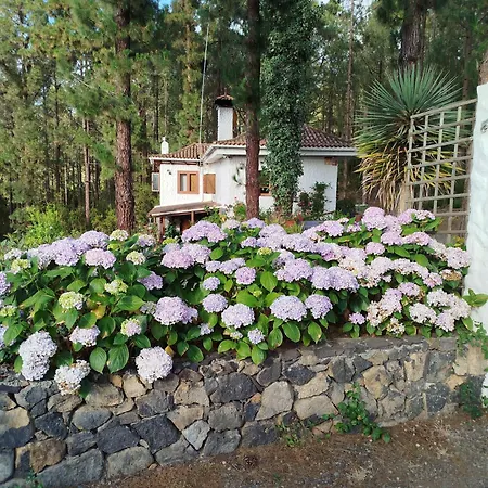 Floral Garden House